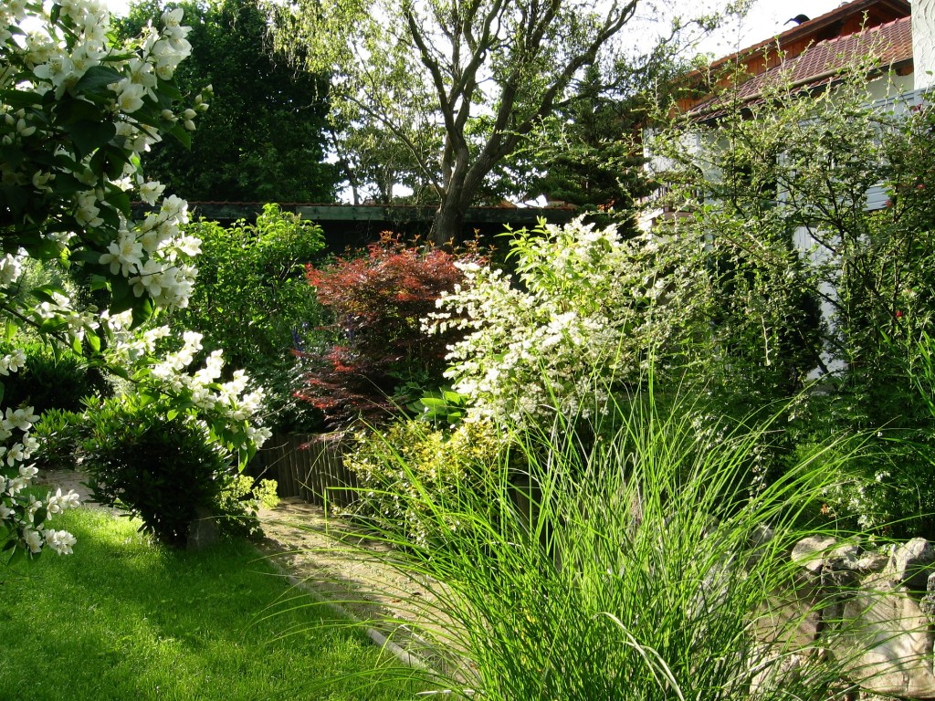 Sommer-Blütenpracht auf der mittleren Gartenterrasse