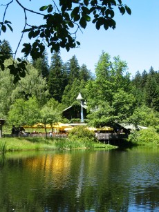 idyllischer Biergarten am Schwellhäusl idyllischer Biergarten am Schwellhäusl