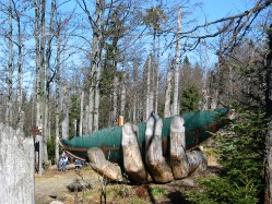 kurz vor dem Beginn der "Himmelsleiter" zum Lusen-Gipfel kommt man auf dem Sommerweg an der Glas-Arche vorbei. Die fünf mal sechs Meter große Hand aus Eichenholz wurde auf Anregung von Vladimír Silovský zur Begrüßung der Arche im Nationalpark Šumava geschaffen. Seit Mai 2004 liegt die Arche in dieser tragenden Hand.  Die hölzerne Hand wurde geschaffen von Tomáš Indra, Holzbildhauer aus Pilsen und Libor Kuzďas, Holzbildhauer aus Čkyně. 