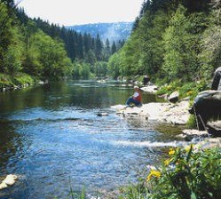idyllischer Rastplatz am Schwarzen Regen